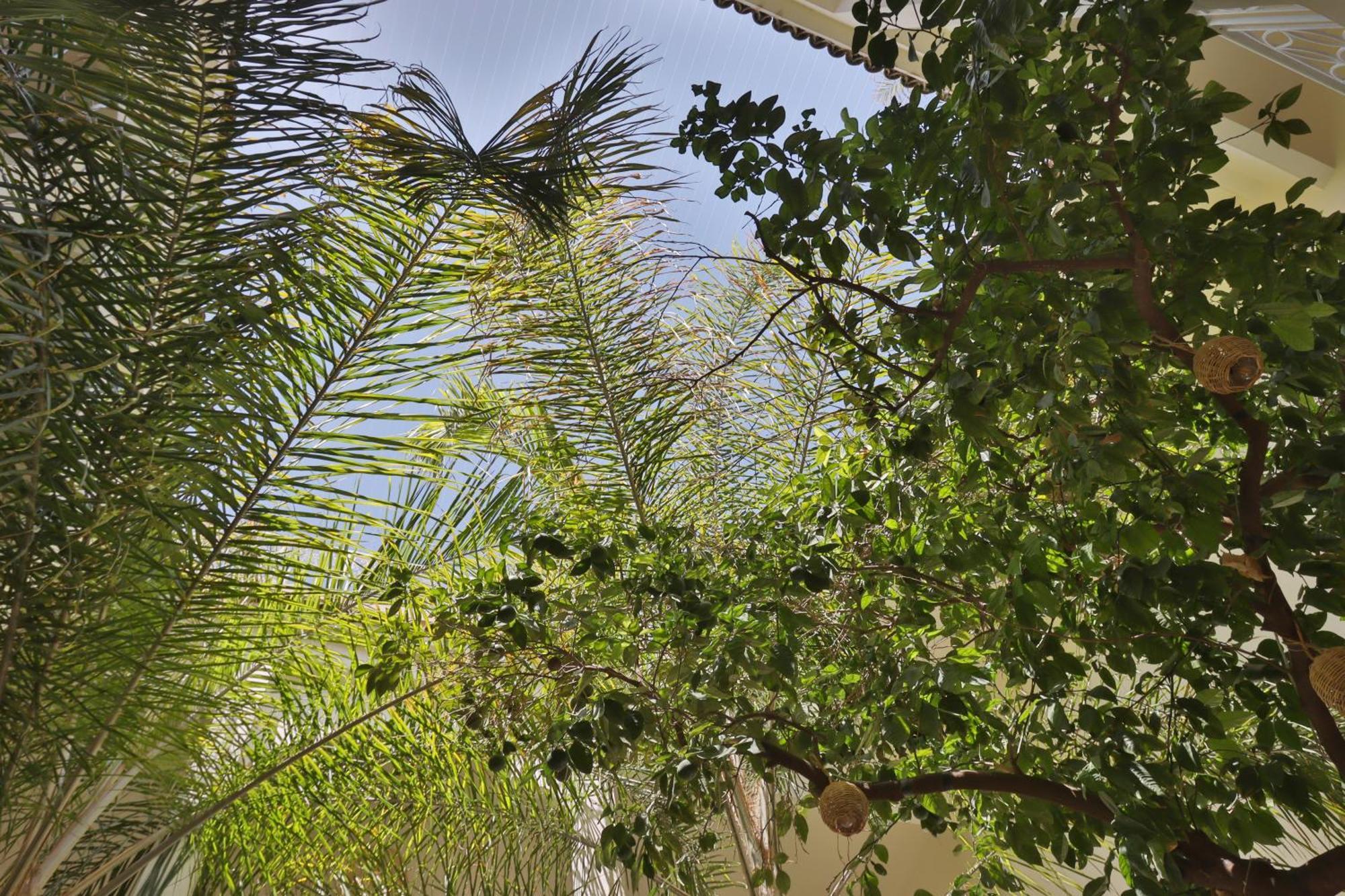 Riad Naanaa Bed & Breakfast Marrakesh Exterior foto